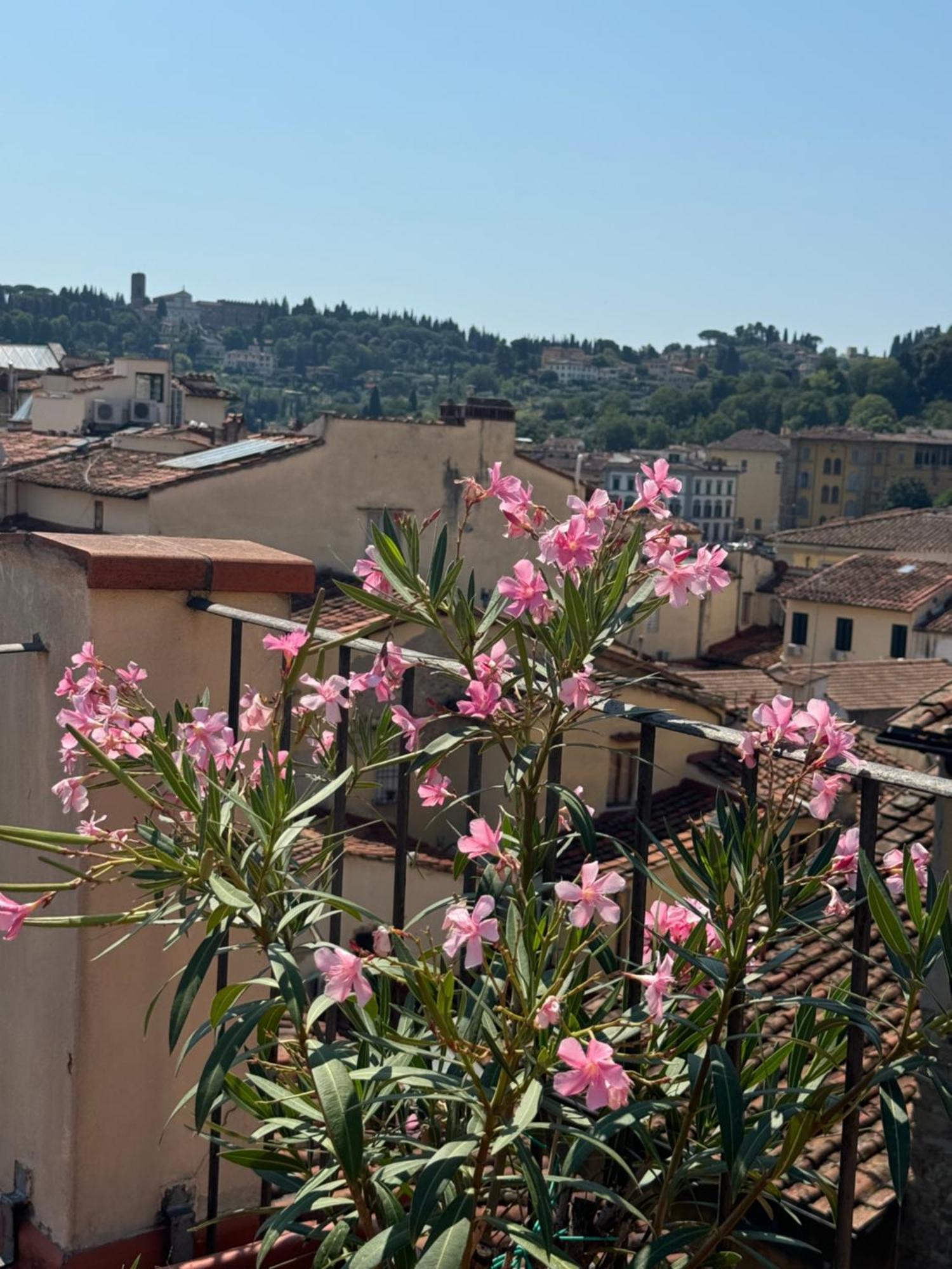 Firenze Panorama Suite & Terrace Exteriör bild